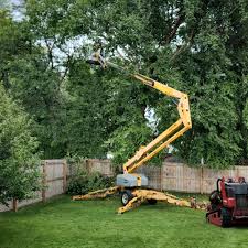 Artificial Turf Installation in Robbinsdale, MN